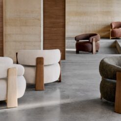 ghế thư giãn Felix Arm Chair_04